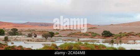 Panoramic view accross Sossusvlei to the south-west. Sand dunes are visible Stock Photo