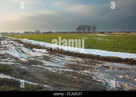 The last snow on the muddy road in the field Stock Photo