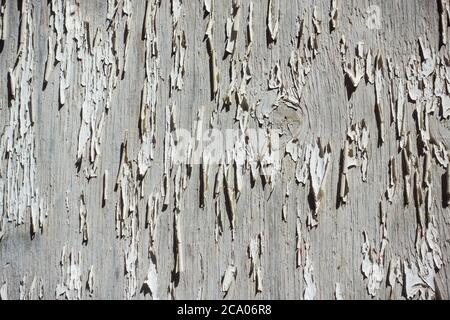 Abstract background grey with lots of texture and shadow Stock Photo
