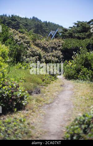 A trail through dense foliage, with the peaked roof of a house poking above it in the distance. Stock Photo