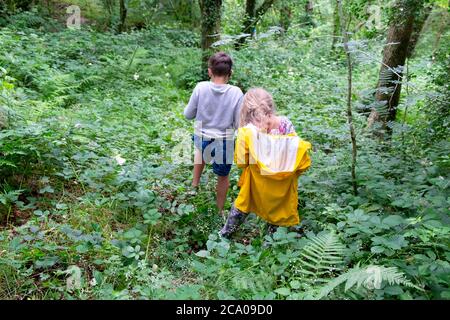 Children kids back rear view on country holiday after lockdown playing outside walking in leafy countryside wood Carmarthenshire Wales UK KATHY DEWITT Stock Photo