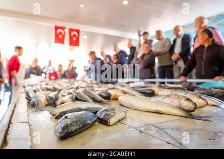 Various fresh fish for sale at seafood auction in Alacati town, Turkey. Stock Photo