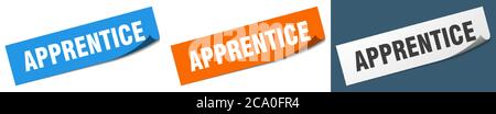apprentice paper peeler sign set. apprentice sticker Stock Vector