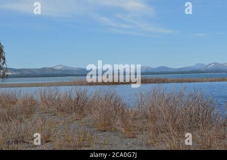 Spring in Yellowstone National Park: Saddle Mountain, Castor Peak, Pollux Peak & Pyramid Peak of the Absaroka Seen from Gull Point on Yellowstone Lake Stock Photo