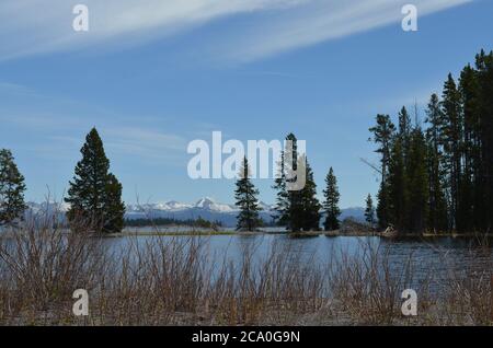 Spring in Yellowstone National Park: Stevenson Island in Yellowstone Lake with Mounts Langford, Doane & Stevenson of the Absaroka Seen from Gull Point Stock Photo