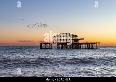 Sunset at Brighton Beach, with a Murmuration of Starlings Beside the Old West Pier Stock Photo