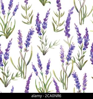 Vector illustration. seamless pattern made up of lavender flowers. Watercolor painting Stock Vector