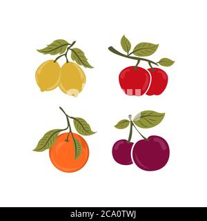 Tropical fruit and citrus fruit. Vector illustration. Gardening Stock Vector