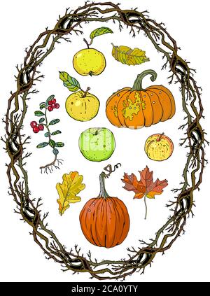 Autumn harvest clipart set: oval wreath branches frame, pumpkins, apples, lingonberry, oak, maple falling leaves. Fall seasonal decoration. Hand drawn Stock Vector