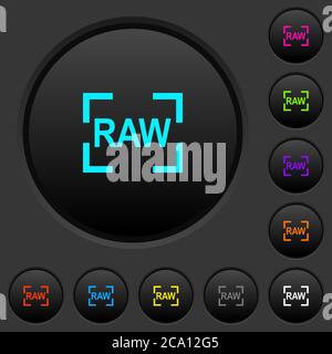 Camera raw image mode dark push buttons with vivid color icons on dark grey background Stock Vector