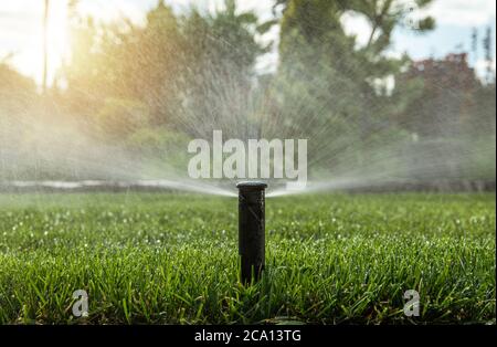 Gardening and Landscaping Industry. Automatic Backyard Garden Lawn Water Sprinkler in Action. In Ground System. Watering Plants and Grass. Stock Photo