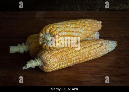 Corn cob on dark wooden rustic background. Detail texture Stock Photo