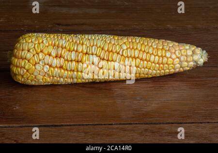 Corn cob on dark wooden rustic background. Detail texture Stock Photo
