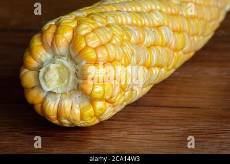 Corn cob on dark wooden rustic background. Detail texture. Macro Stock Photo