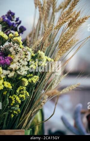 A bouquet of fresh multicolored statice salem or limonium sinuatum flowers in violet, pink, white, yellow colors and dry ears in a vase outdoors Stock Photo