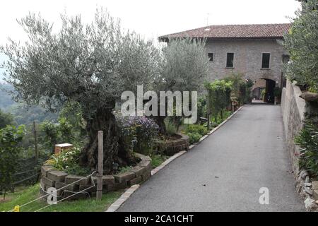 Castel San Pietro, Canton Ticino (TI)/ Switzerland - September 28 2013: Village scene in Castel San Pietro, hilly location on Canton Ticino Stock Photo