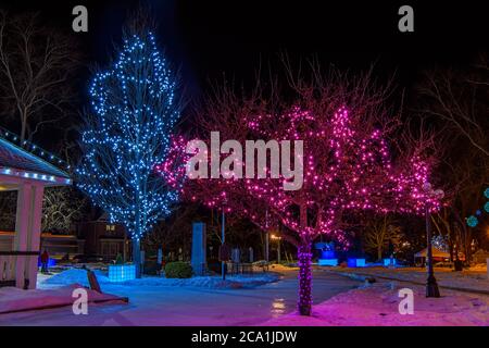 Festive lights in Bracebridge Park, Bracebridge, Ontario, Canada Stock Photo