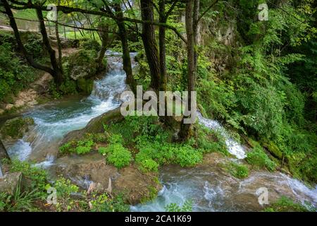 Mountain stream flowing through green forest and glade on natural park Zlatibor, Serbia on a sunny summer day Stock Photo