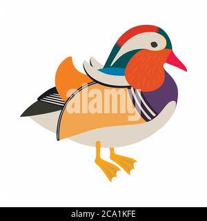 Asian mandarin duck, isolated on white Stock Vector