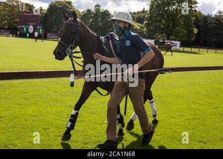 Egham, UK. 3rd August, 2020. A groom wearing a face covering to protect against coronavirus guides a horse along the side of a polo field during a Cartier Queens Cup 2020 league phase match between Next Generation and Segavas at the Guards Polo Club in Windsor Great Park. Next Generation won the match 11-9. Credit: Mark Kerrison/Alamy Live News Stock Photo