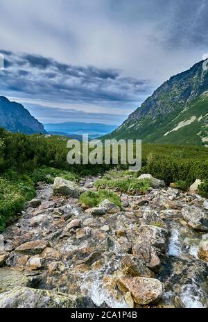 Mountain stream in High Tatras National Park, Slovakia, Europe, EU. Beautiful world. Stock Photo