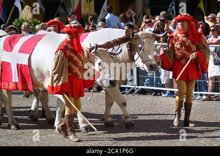 Asti, Piedmont, Italy -09/20/2015- Palio  is a traditional festival of Medieval origins and exhibition by flag throwers, historical procession and the Stock Photo