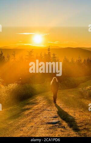 Woman on gravel road at sunset, Wells Gray Provincial Park, British Columbia, Canada Stock Photo