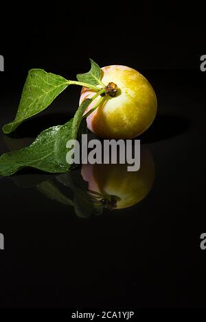 Ripe plums on a black reflective surface Stock Photo