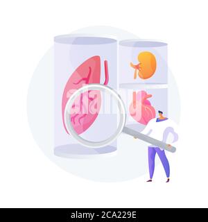 Lab-grown organs abstract concept vector illustration. Stock Vector