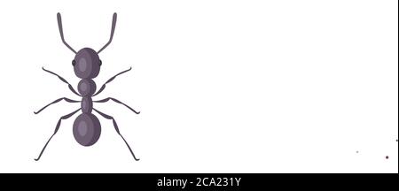 black strong ant on a white background. Flat vector illustration of an insect. Stock Vector