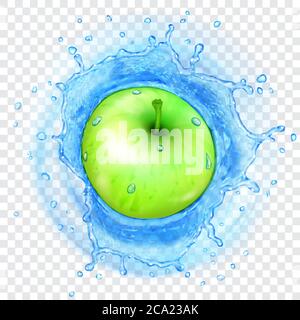 Green apple falling into transparent light blue water with translucent splash. Transparency only in vector format Stock Vector