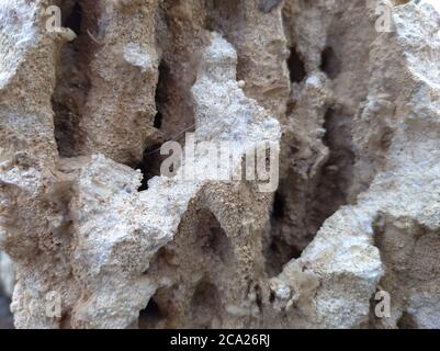 porous white Crimean stone texture. Loose stone macro photography Stock Photo