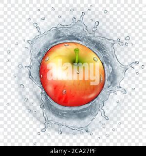 Red apple falling into transparent water with translucent splash. Transparency only in vector format Stock Vector