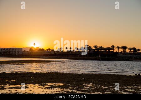 sunset on the sea with palm trees in evening Stock Photo