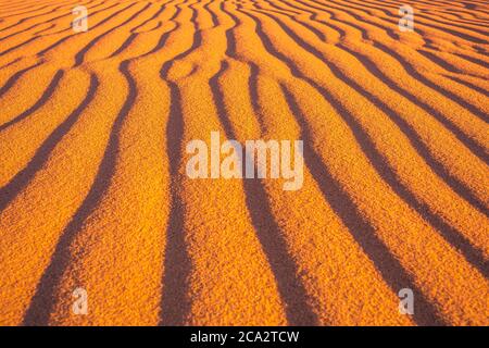 Desert and ripples in warm evening sunlight, Stock Photo