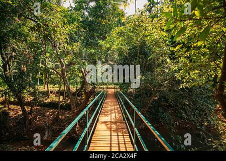 Goa, India. View Of Small Bridge Surrounded By Tropical Green Vegetation In Sunny Day.