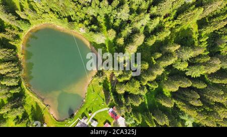 Alpin lake in summer time surrounded by beautiful forest, overhead downward aerial view.