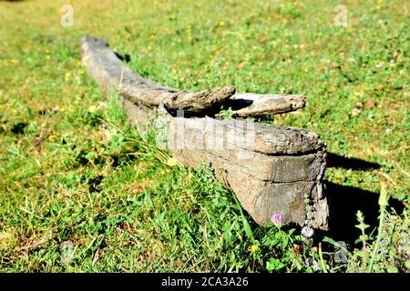 Old wooden beam abandoned in the grass Stock Photo