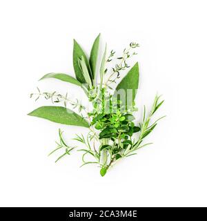 Rosemary, marjoram, sage and thyme arrangement. Creative composition with fresh herbs bunch on white background. Top view, flat lay. Floral design Stock Photo