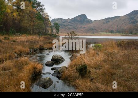Bleamoss Beck and Blea Tarn with Side Pike beyond in the Lake District National Park, Cumbria, England. Stock Photo