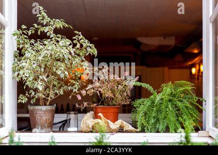 window sill of a white wooden window outside with a pot of buckets and plants growing in them, closeup details of the decor of the restaurant. Stock Photo