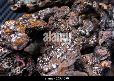 Close-up of the structure of the fossil. Souvenirs natural minerals on the window of a street shop Stock Photo