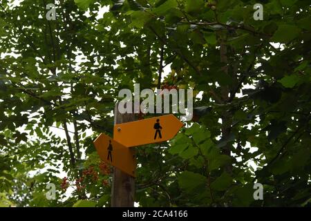 Yellow tourist hiking trail sign surrounded by leaves and red berries indicating direction of walking path or track through the forest in Switzerland. Stock Photo