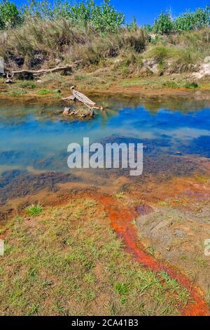 Babai River, Royal Bardia National Park, Bardiya National Park, Nepal, Asia Stock Photo