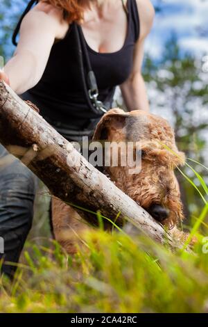 Woman and her dog playing in a forest Stock Photo