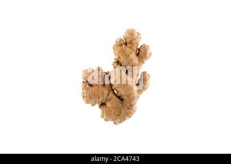 Root ginger isolated on a white background. Stock Photo