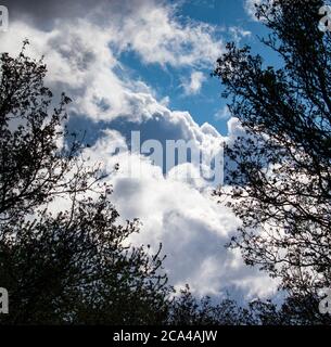 Puffy Cumulus Clouds on a Sunny Day with Blue Skies Over Susquehanna Valley, Lancaster County, Pennsylvania During Early Spring Stock Photo