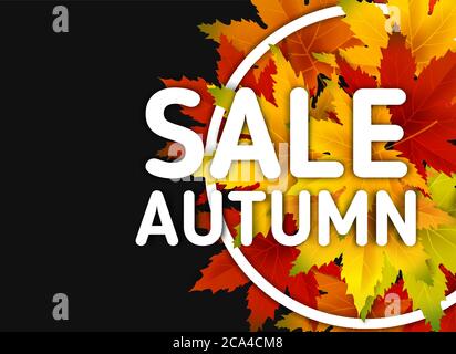 Autumn Sale Background Template, with falling bunch of leaves, shopping sale or seasonal poster for shopping discount promotion, Postcard and Stock Vector