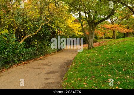 pathway in a park with colourful plants around Stock Photo