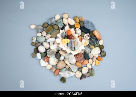 collage of sea stones and seashells on gray background Stock Photo